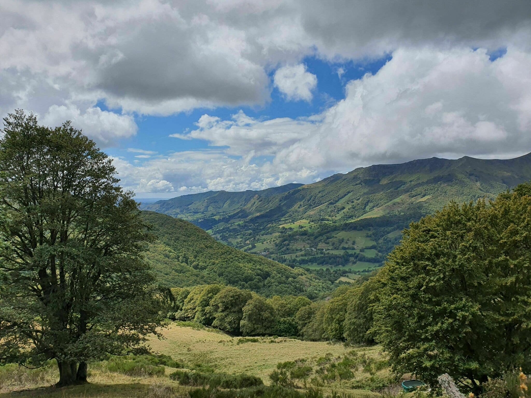 Les 9 plus belles randonnées à faire dans le Cantal