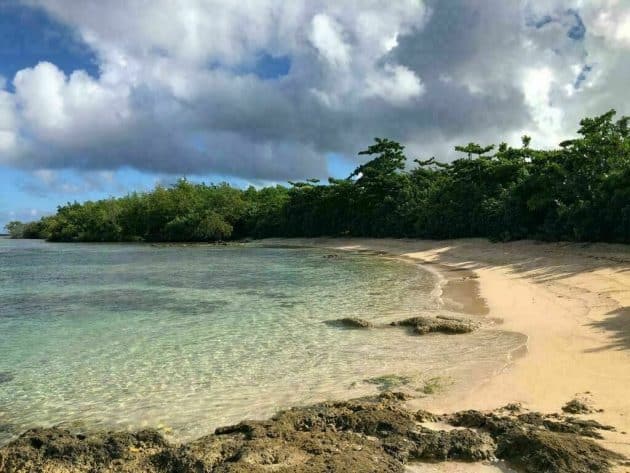 Les 8 Plus Belles Randonnées à Faire En Guadeloupe