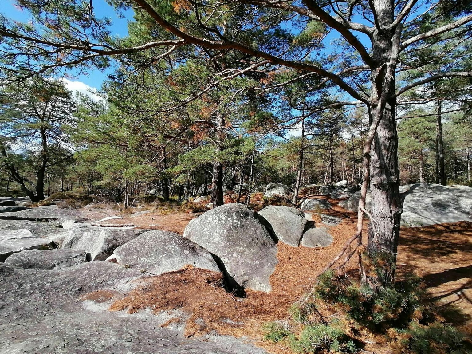 Les 8 Plus Belles Randonn es Faire Dans La For t De Fontainebleau les-8-plus-belles-randonn-es-faire-dans-la-for-t-de-fontainebleau