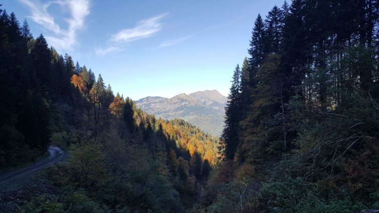 Les 12 Plus Belles Randonnées à Faire En Haute-Savoie