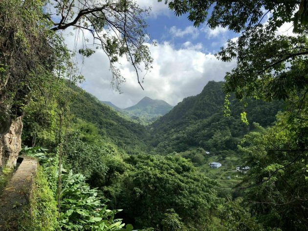 les-10-plus-belles-randonn-es-faire-en-martinique