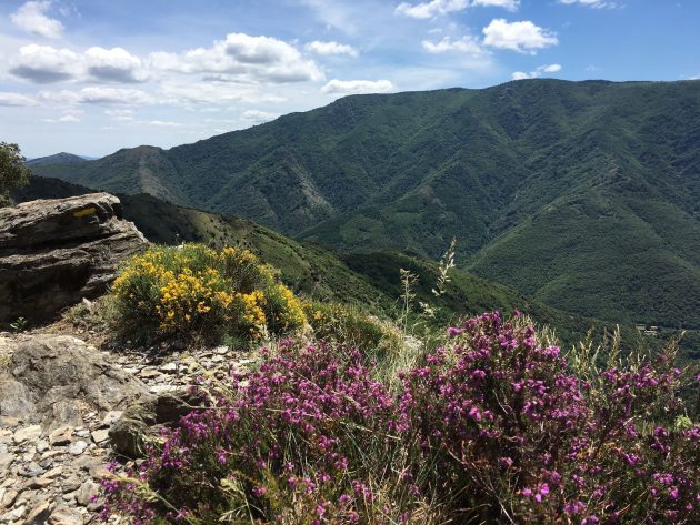 Les 3 plus belles randonnées à faire au Mont Aigoual