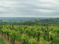 Les vignobles de Buzet