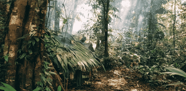 « J’ai vécu une semaine dans la jungle au Costa Rica »