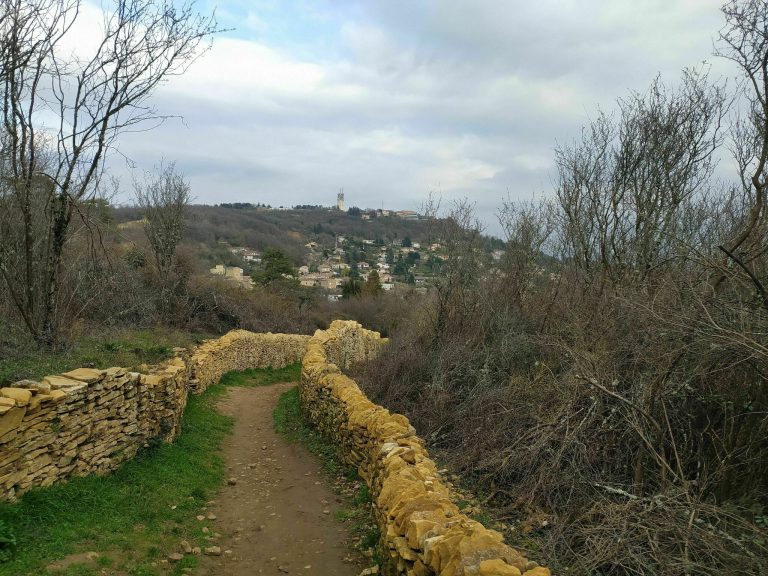 Les 4 plus belles randonnées à faire autour de SaintDidierauMontd’Or
