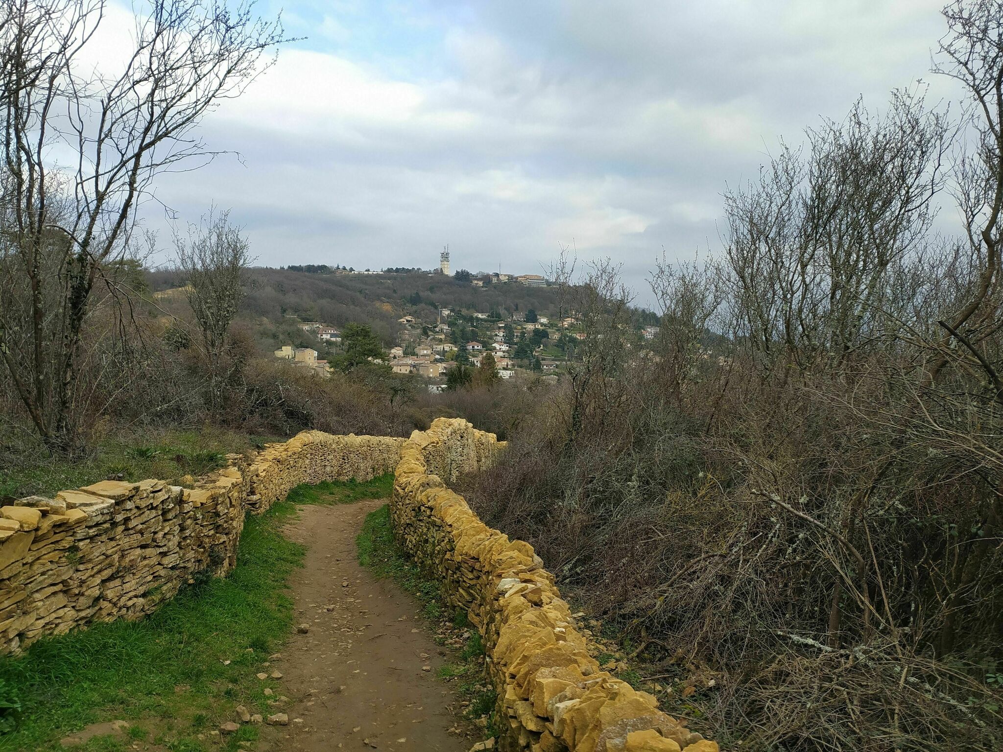 Les 4 plus belles randonnées à faire autour de SaintDidierauMontd’Or