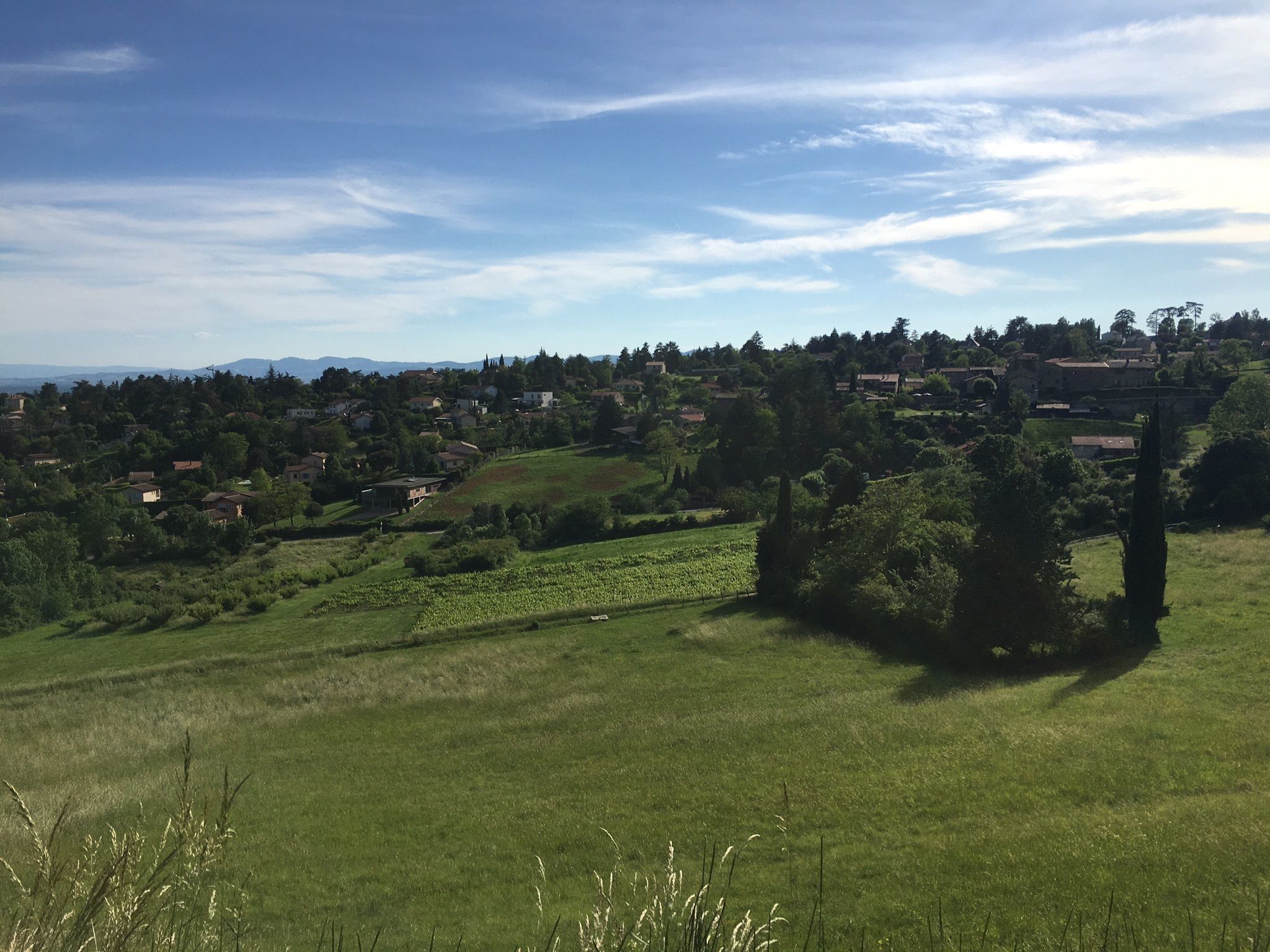 Les 4 plus belles randonnées à faire autour de SaintDidierauMontd’Or