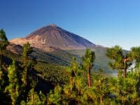 Teide