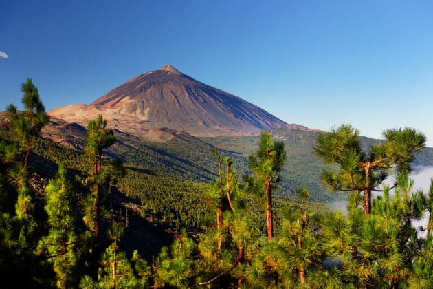 Parapente à Tenerife : notre sélection des 3 meilleurs vols