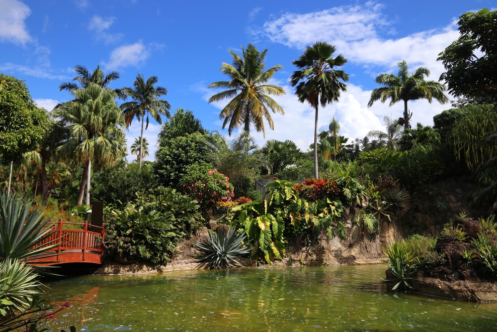 Jardin Botanique