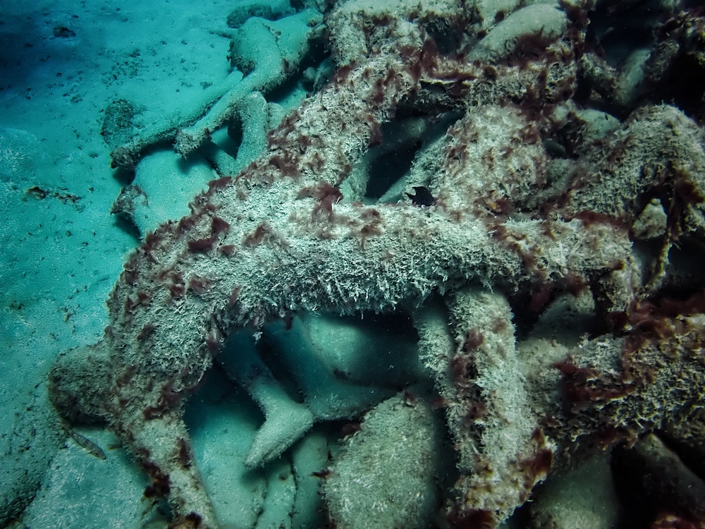 Les 8 meilleurs spots de plongée et snorkeling à Lanzarote