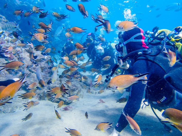 Les Meilleurs Spots De Plong E Et Snorkeling Lanzarote