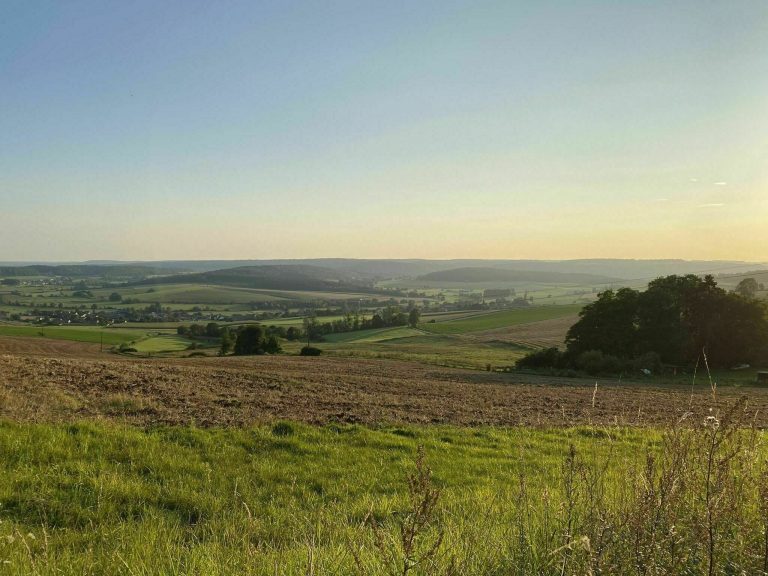 Les 8 Choses Incontournables à Faire à Riquewihr