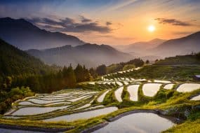 Rizières de Maruyama-senmaida, Kumano