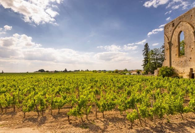 Visiter les vignobles de Saint-Émilion