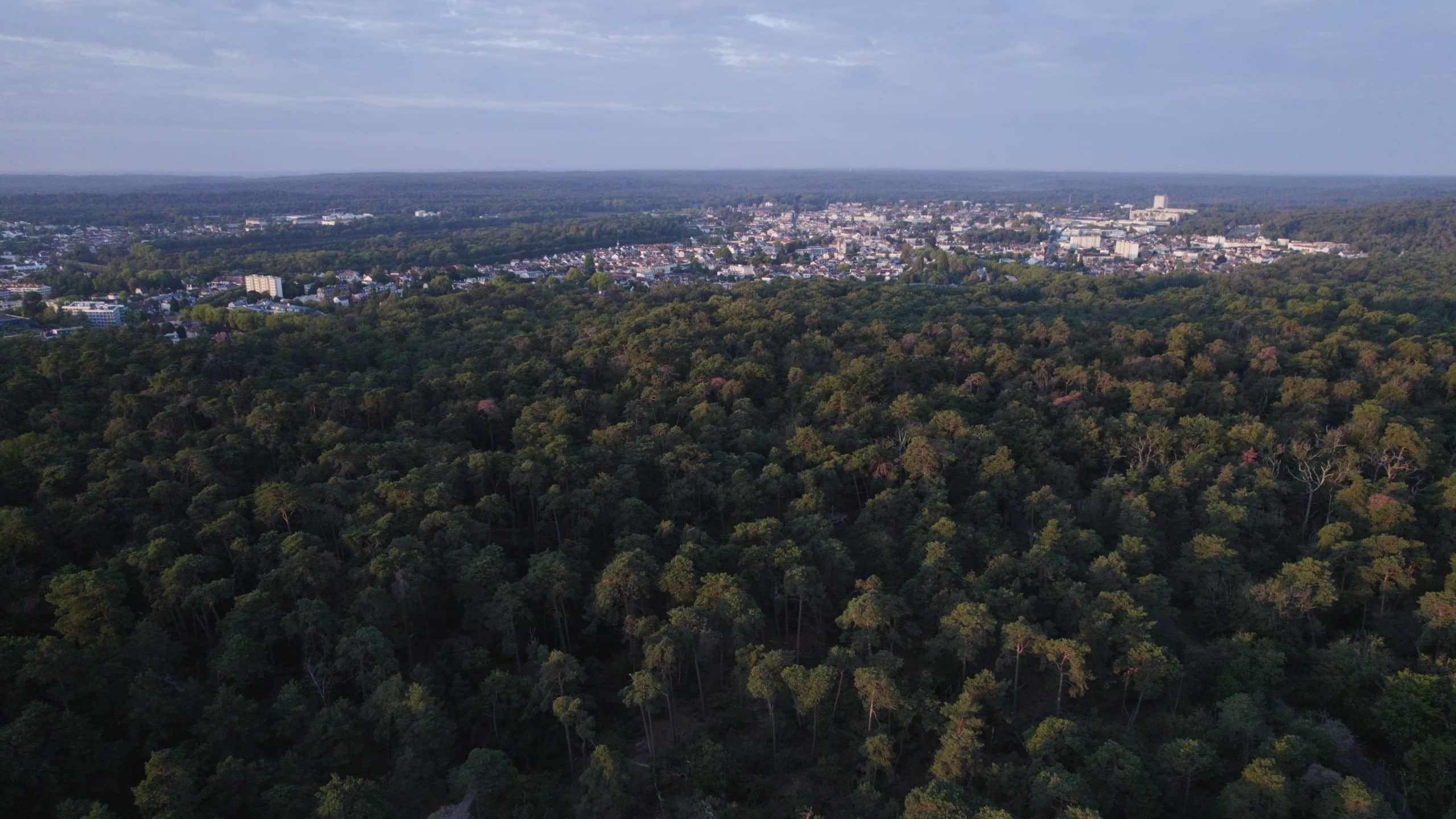 L'accueil du public en forêt