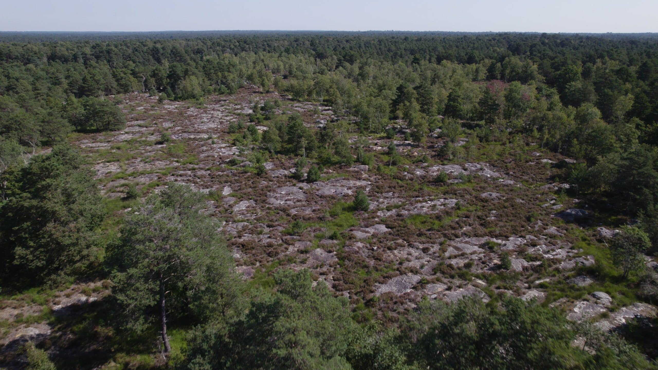 Le maintien de la biodiversité