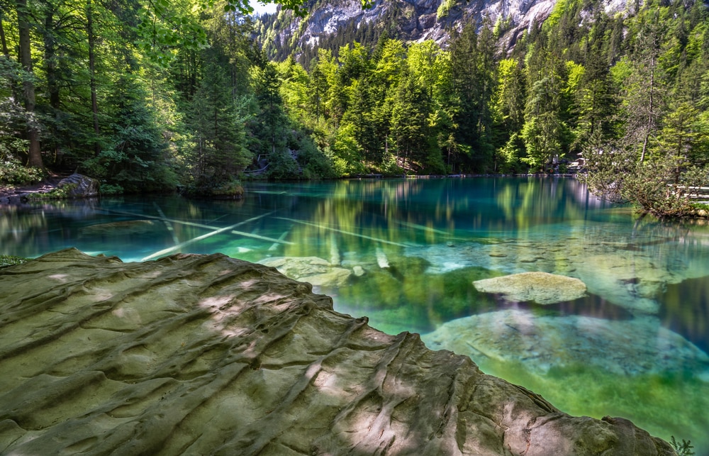 Parc naturel - Suisse