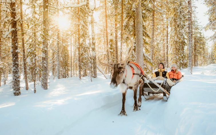 Balade en rennes - voyage Laponie