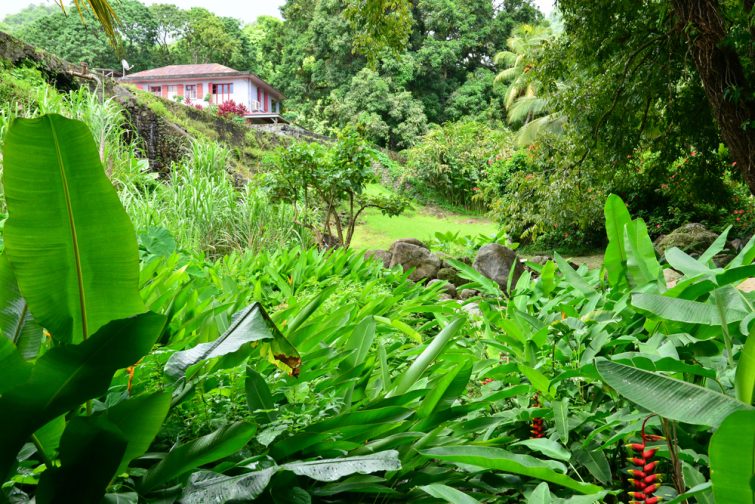 L'habitation Céron - visiter la Martinique