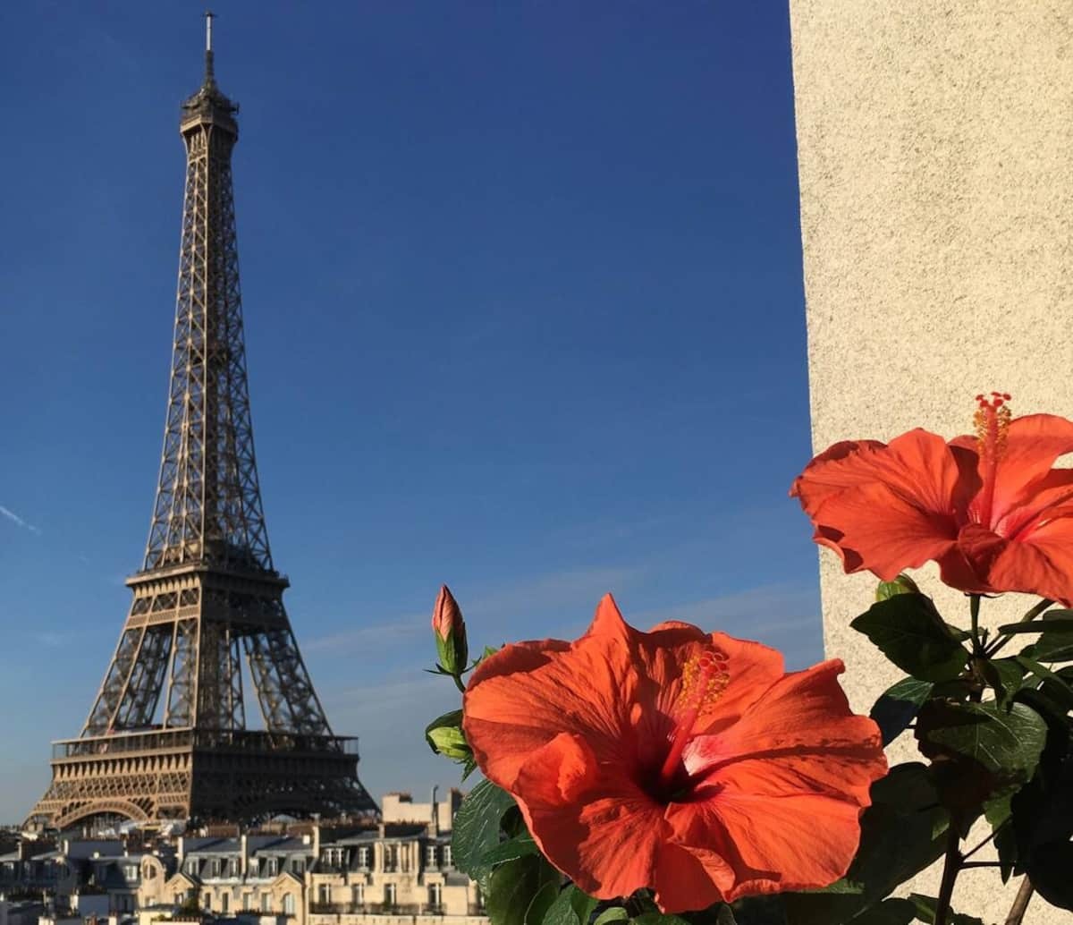 Magnifique vue Tour Eiffel studio & balcon privés