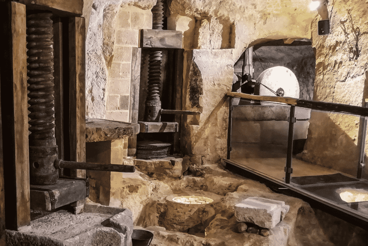 visiter Matera : Matera Olive Oil Museum
