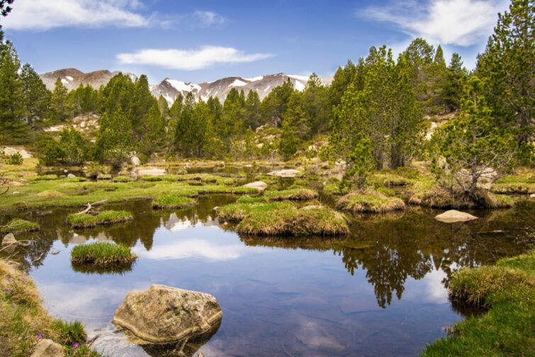 Parc naturel régional des Pyrénées Catalanes