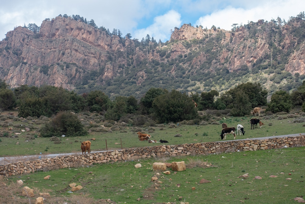 Belezma National Park in the Aurès region in Batna