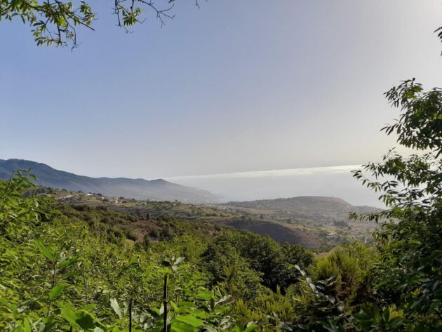 Les 11 plus belles randonnées à faire à La Palma