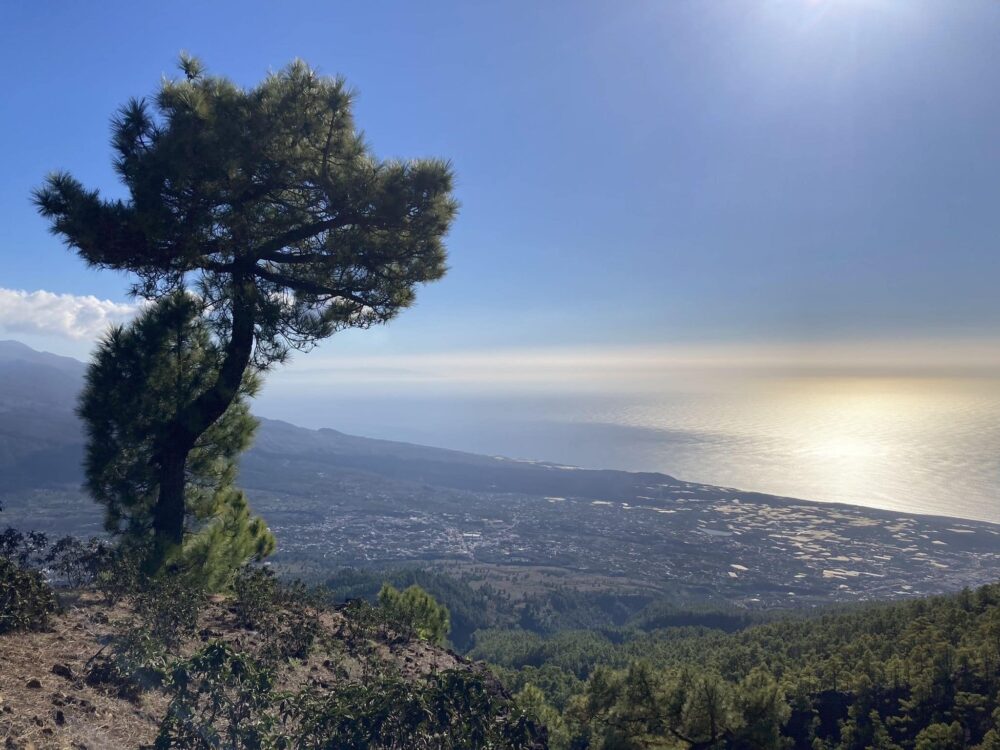 Les 11 plus belles randonnées à faire à La Palma