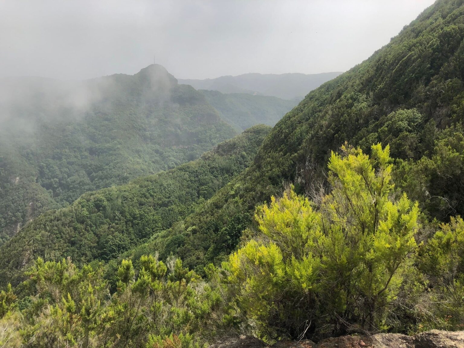 Les 11 plus belles randonnées à faire à La Palma