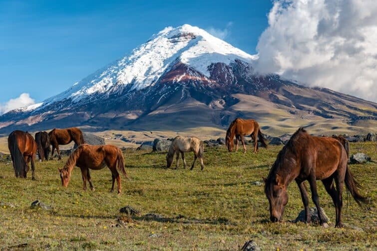 Photos de l'Equateur