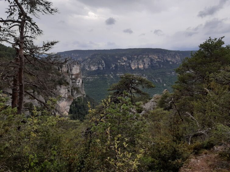 Le Rozier - Volcégur le long des Gorges du Tarn