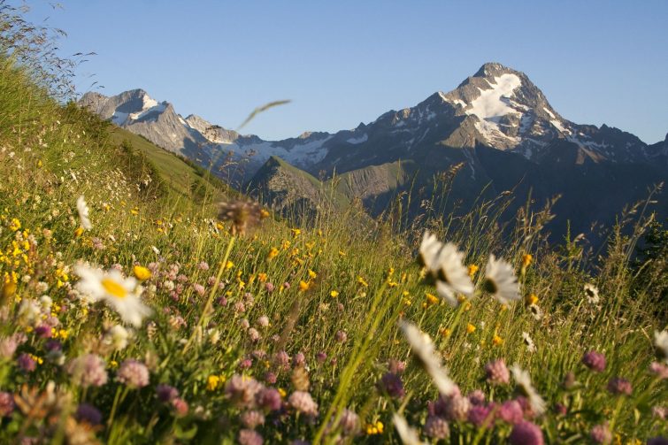 Trek tour des Ecrins-©Shutterstock J.Flamand