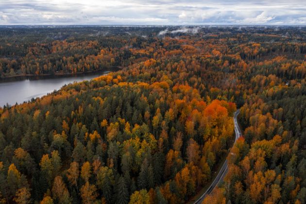 Les 4 meilleures activités à faire en Finlande l’automne