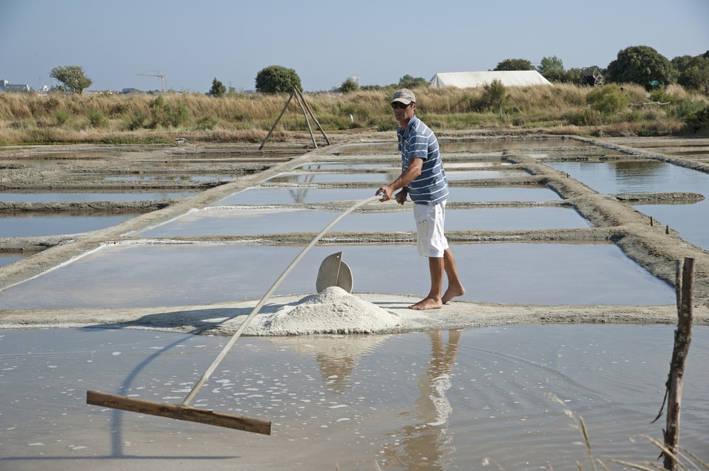Les 15 choses incontournables à faire aux Sables d’Olonne