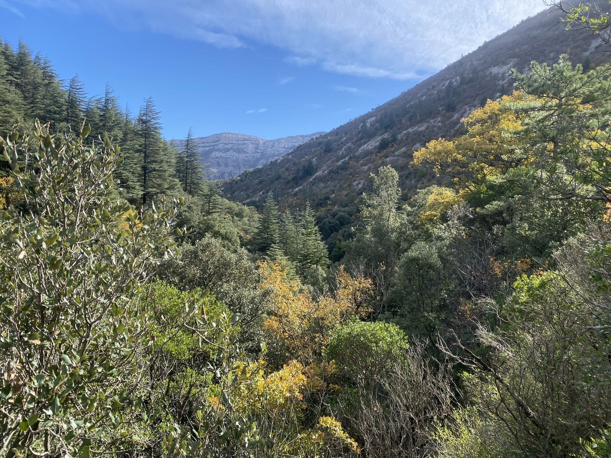 Cirque de Navacelles, Causse de Blandas, Vissec, Moulin de la Foux