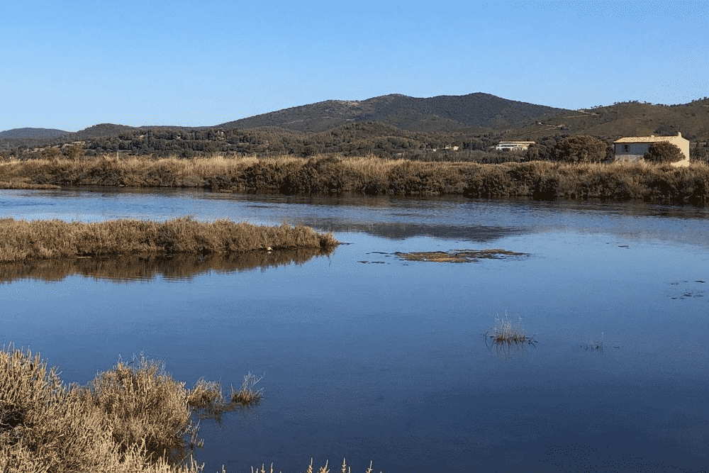 Les 12 plus belles randonnées à faire autour de Hyères