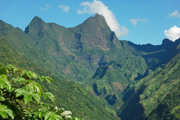 Les 10 choses incontournables à faire à Tahiti