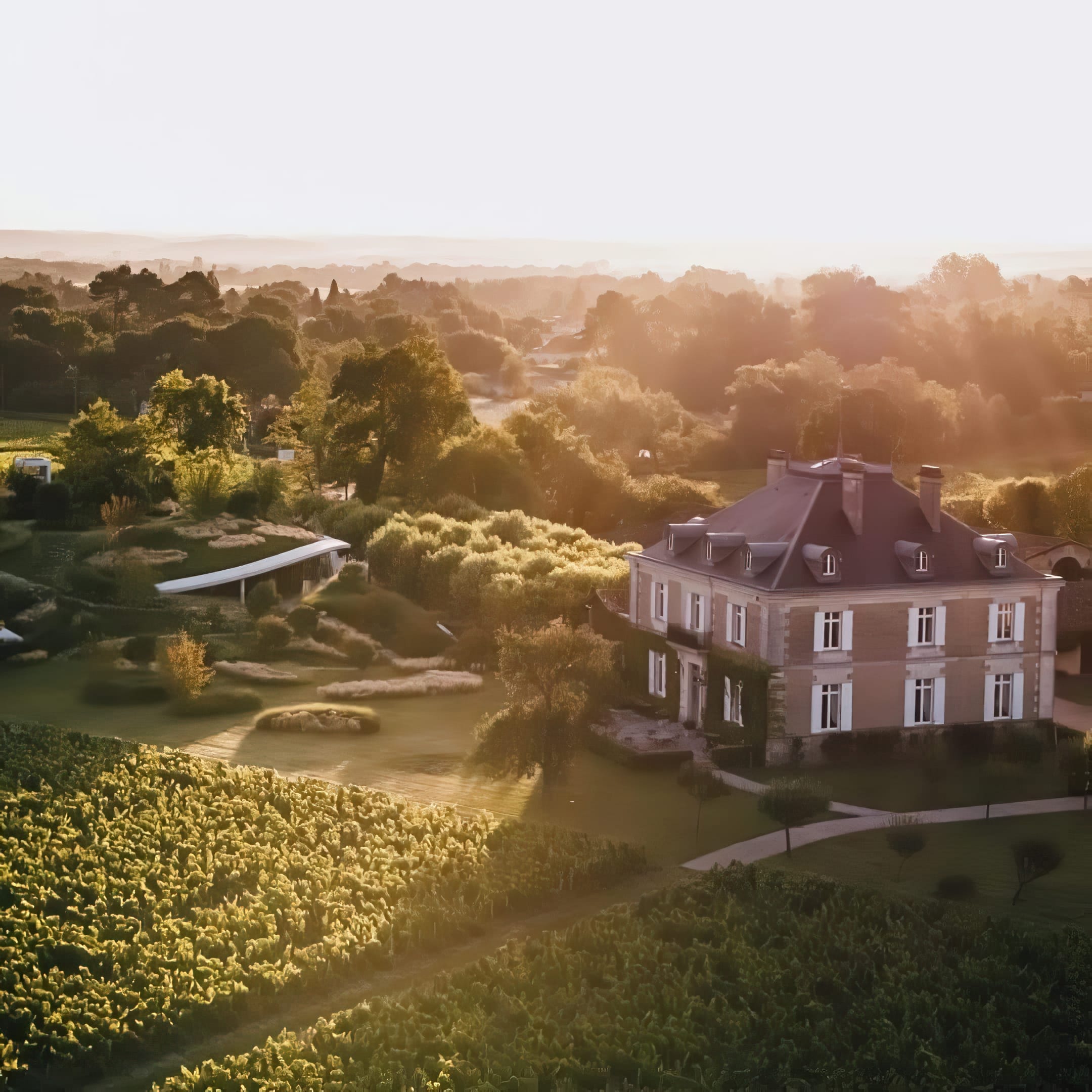 château Haut-Bailly