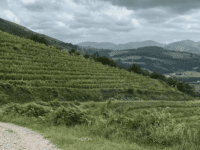 Sentier des Crêtes