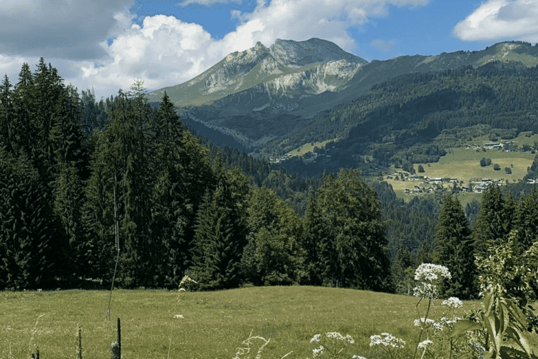 randonnées Morzine : Le Plan Morand et les Granges par le Pleney
