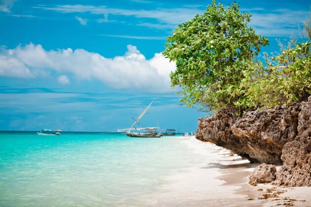 Les 8 meilleurs spots de plongée et snorkeling à Zanzibar