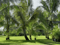 Jardin des Milles et une saveurs