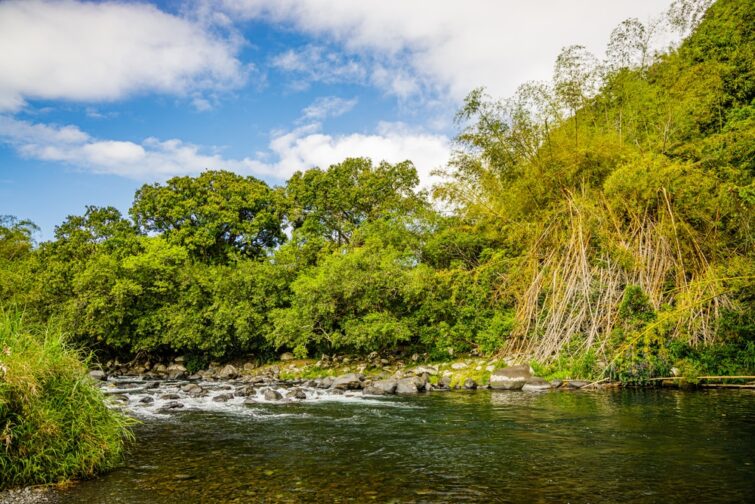 The Marsouins river - where to swim Réunion