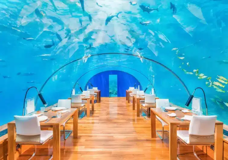 restaurant sous l'eau dans un hôtel aux maldives
