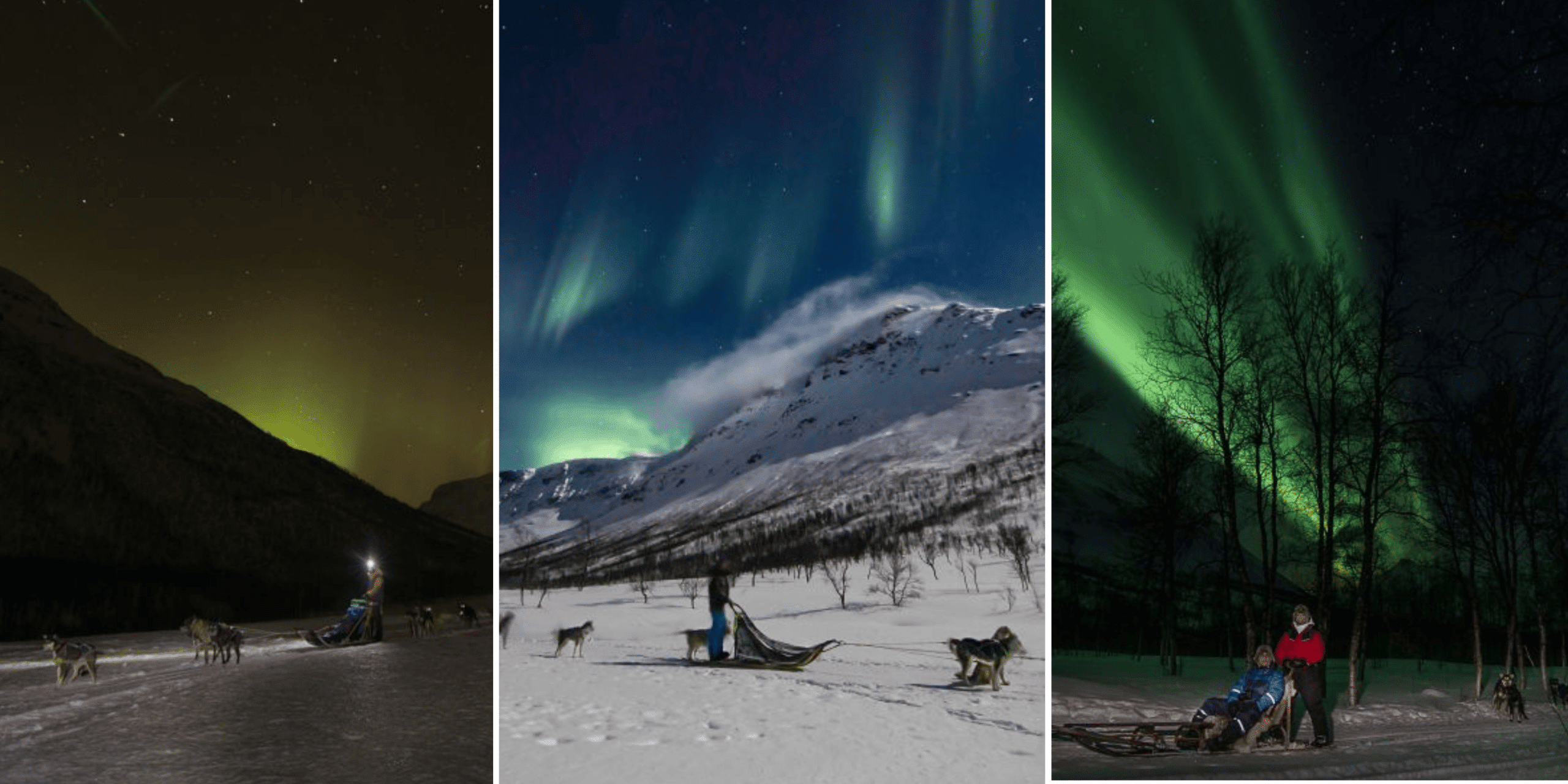 Observer une aurore boréale à Tromsø en chien de traîneau