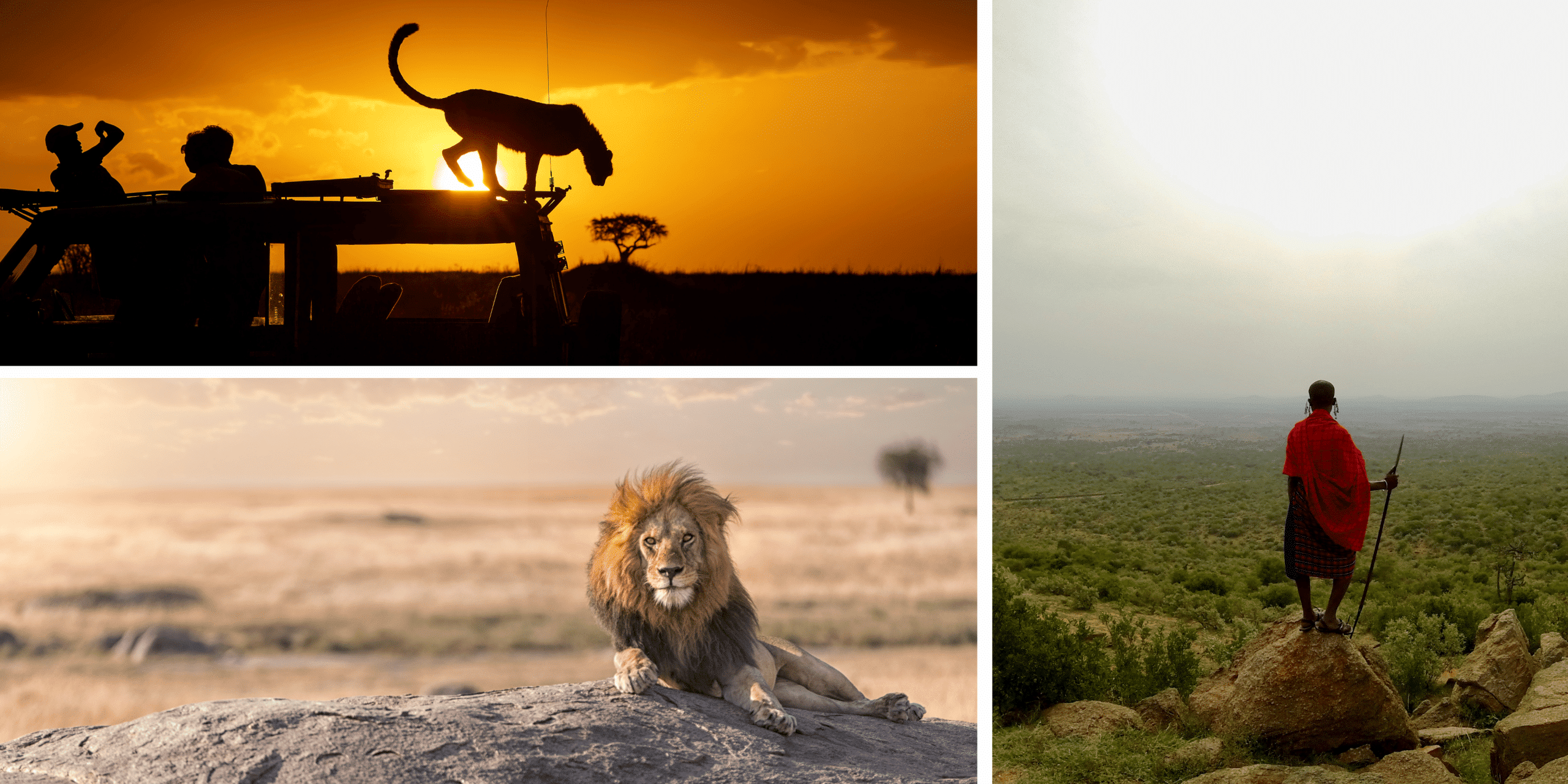 ¿Dónde ir en África?  Nuestros 9 destinos favoritos