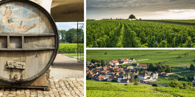 Beaune : dégustation de vins au château de Pommard