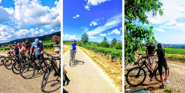 Vélo & Dégustations dans les Vignes Bourgogne